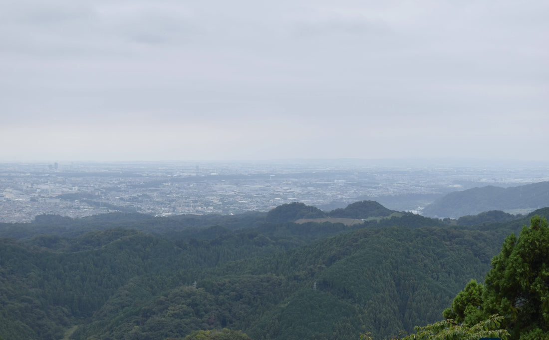 Mont Takao : L'évasion nature proche de Tokyo