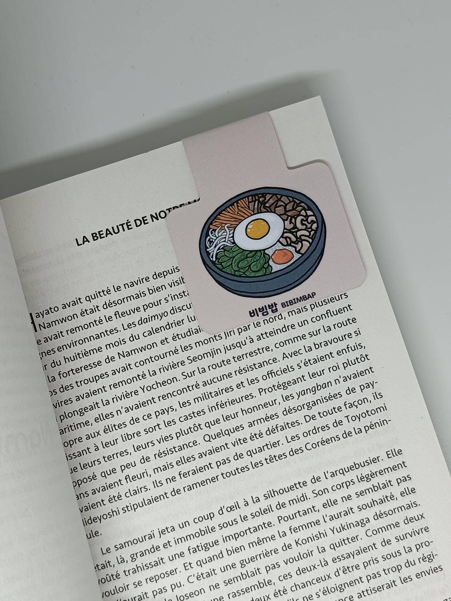 Marque-page magnétique Bibimbap