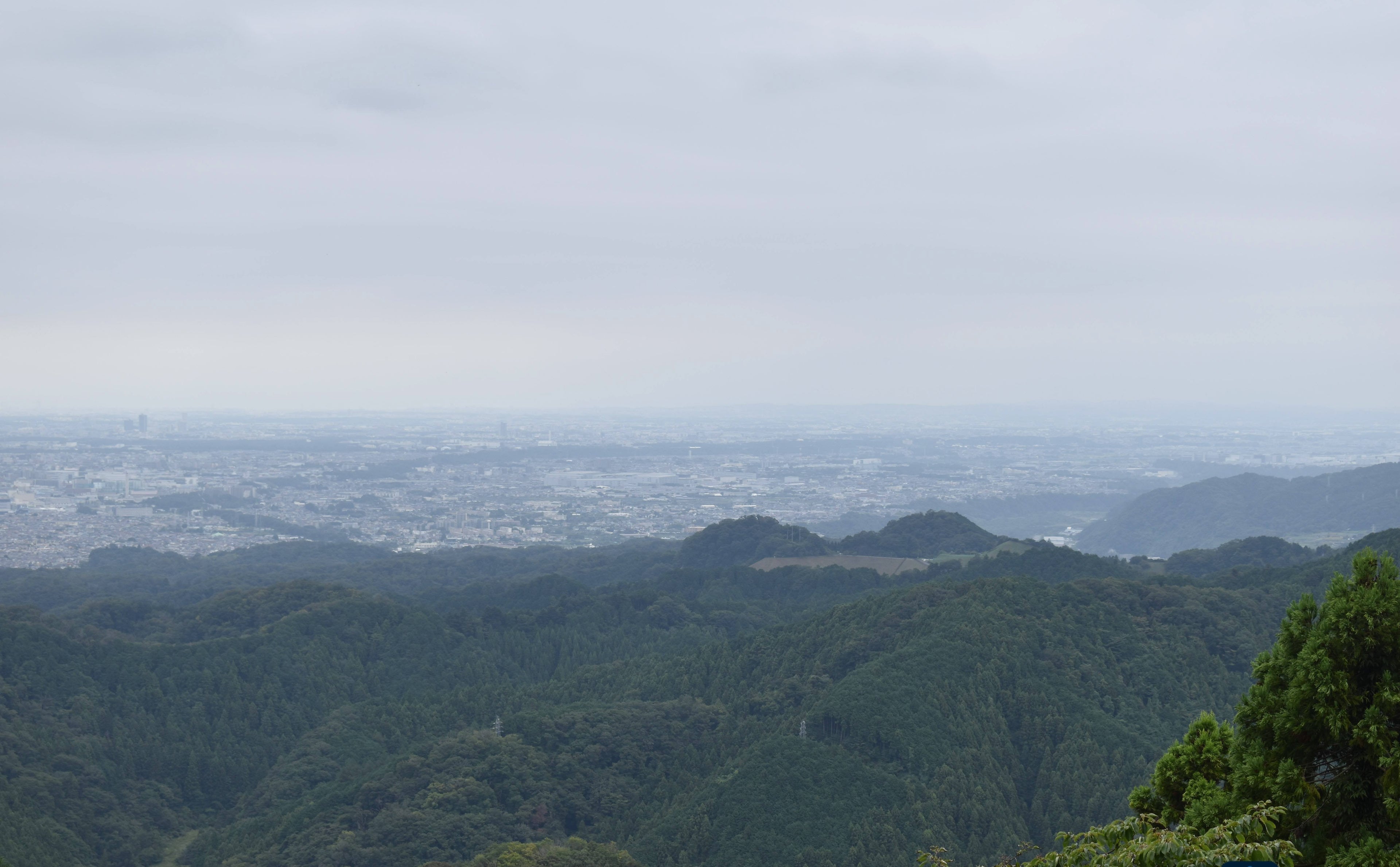 Mont Takao : L'évasion nature proche de Tokyo