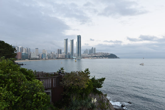 La promenade du parc Dongbaek : nature, histoire et vues spectaculaires