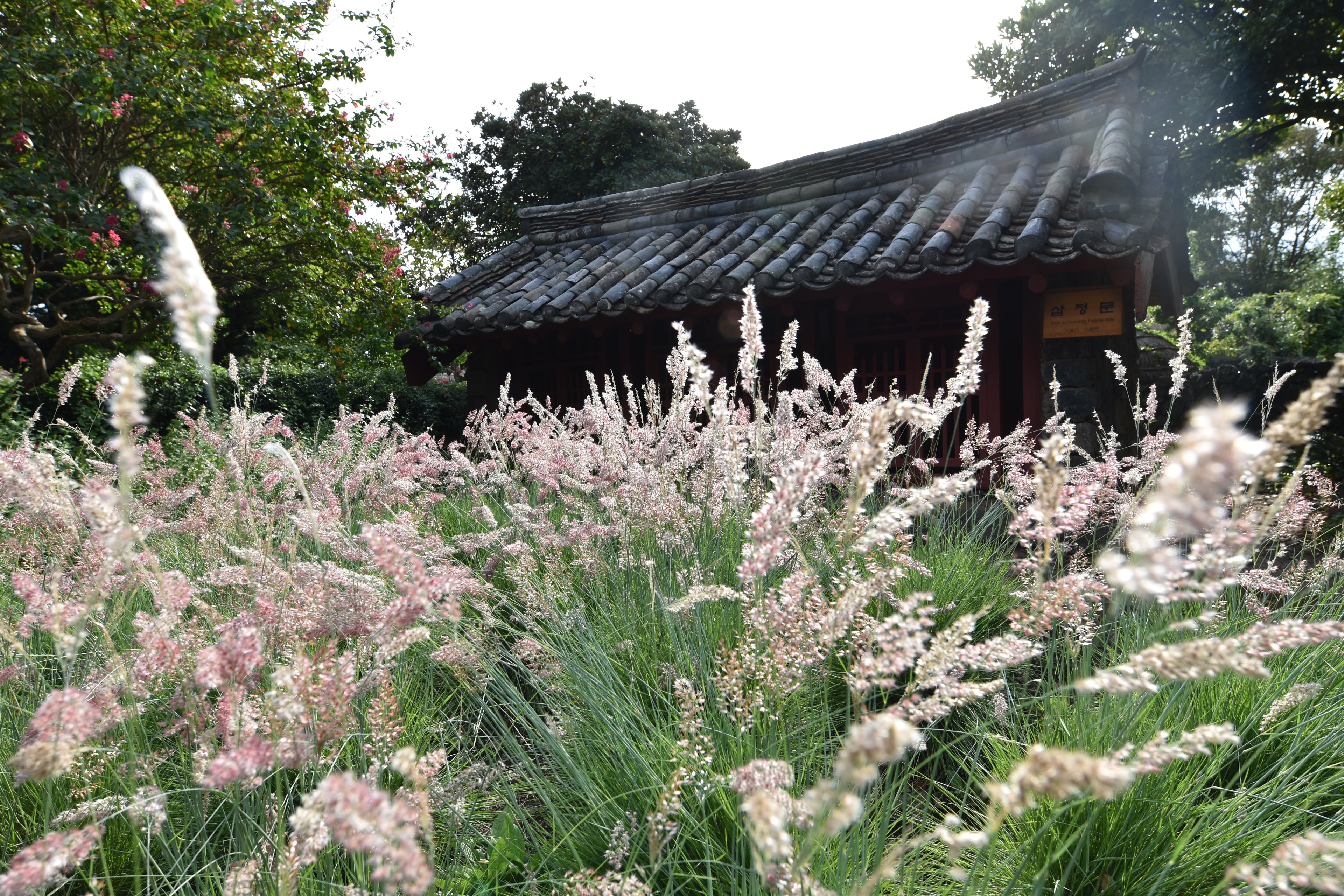 Quand partir en Corée du Sud ?