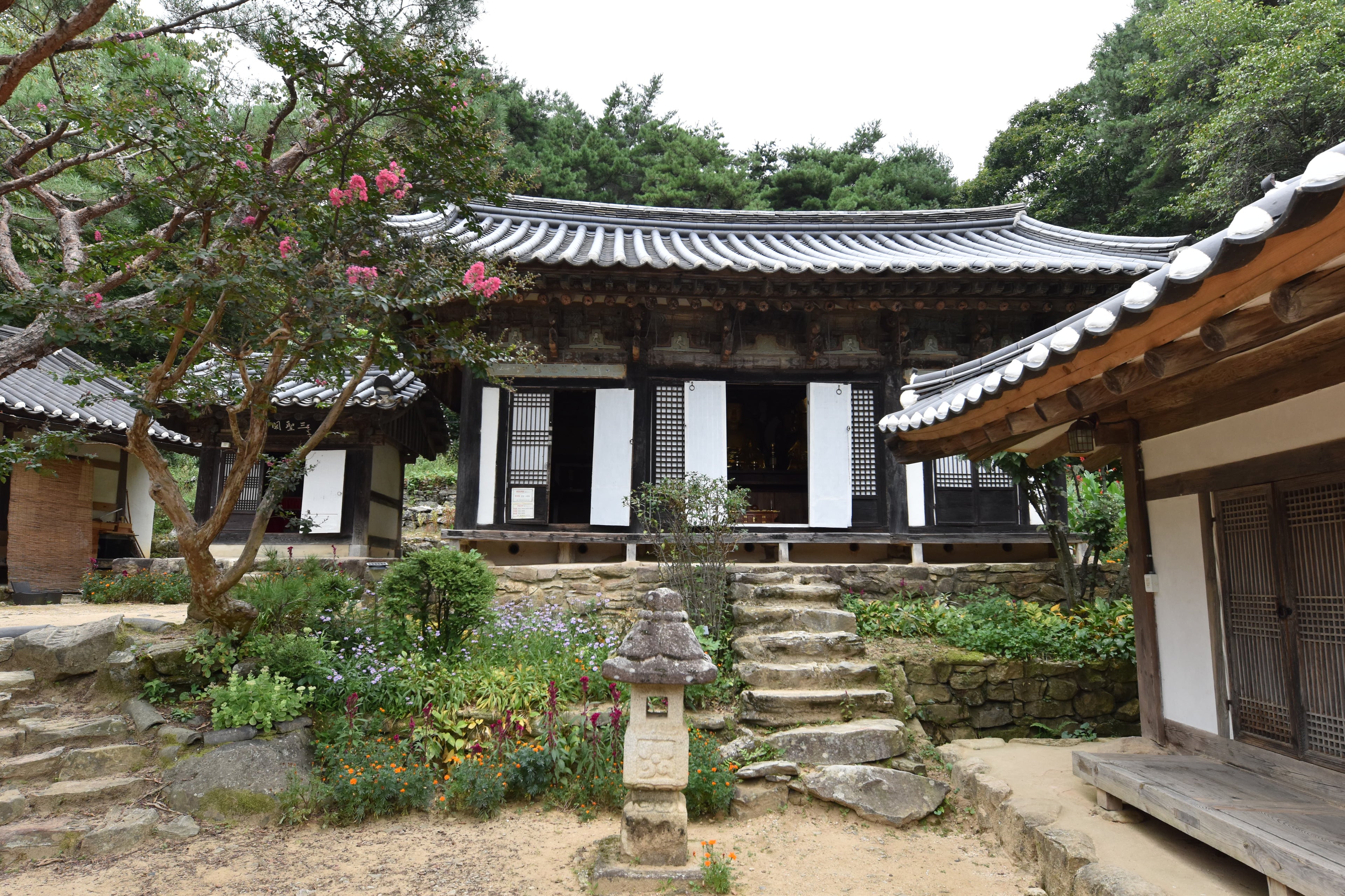 Accès à Internet en Corée du Sud : guide complet pour les voyageurs