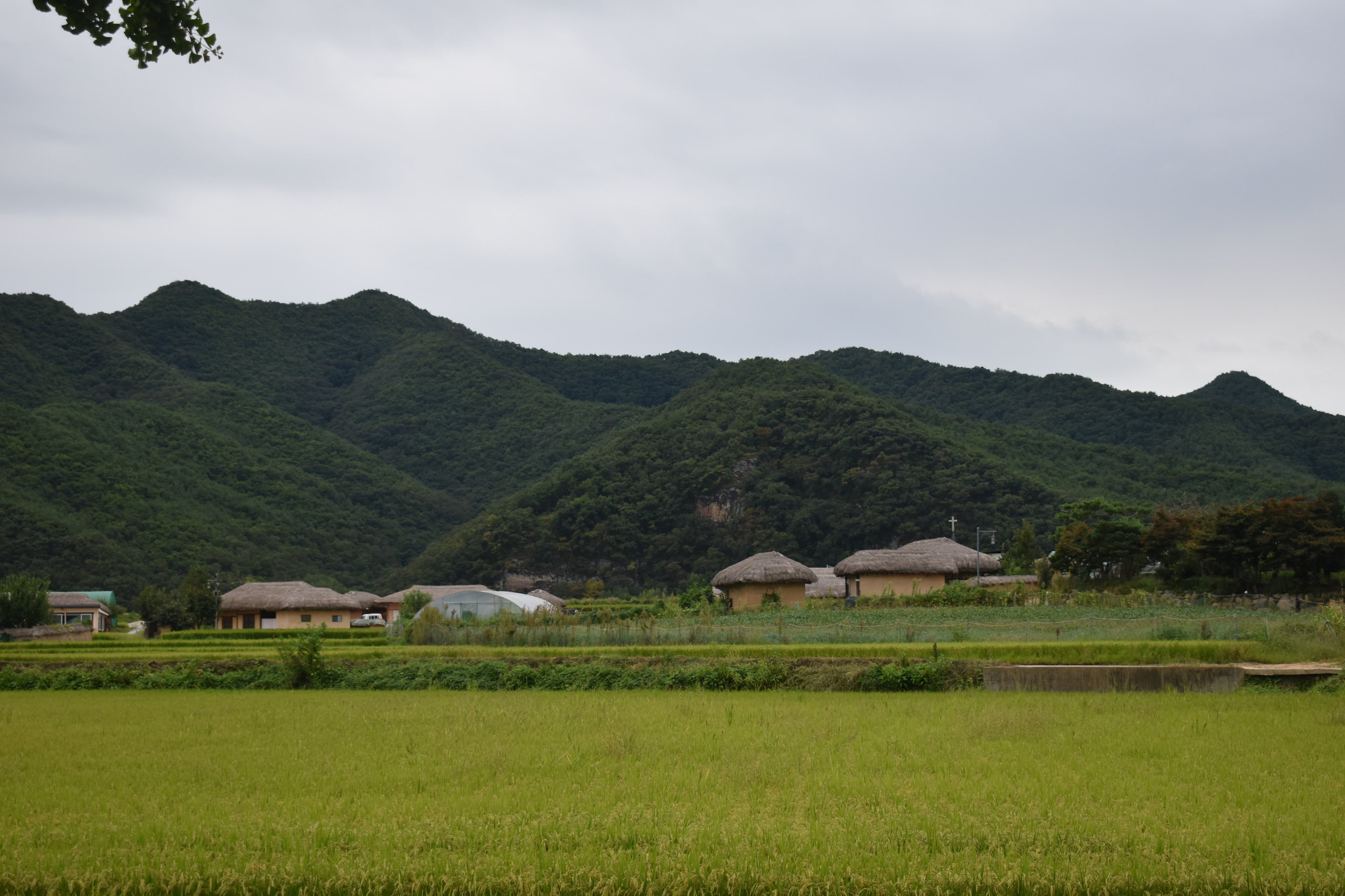 Que faut-il savoir avant de partir en Corée du Sud ?