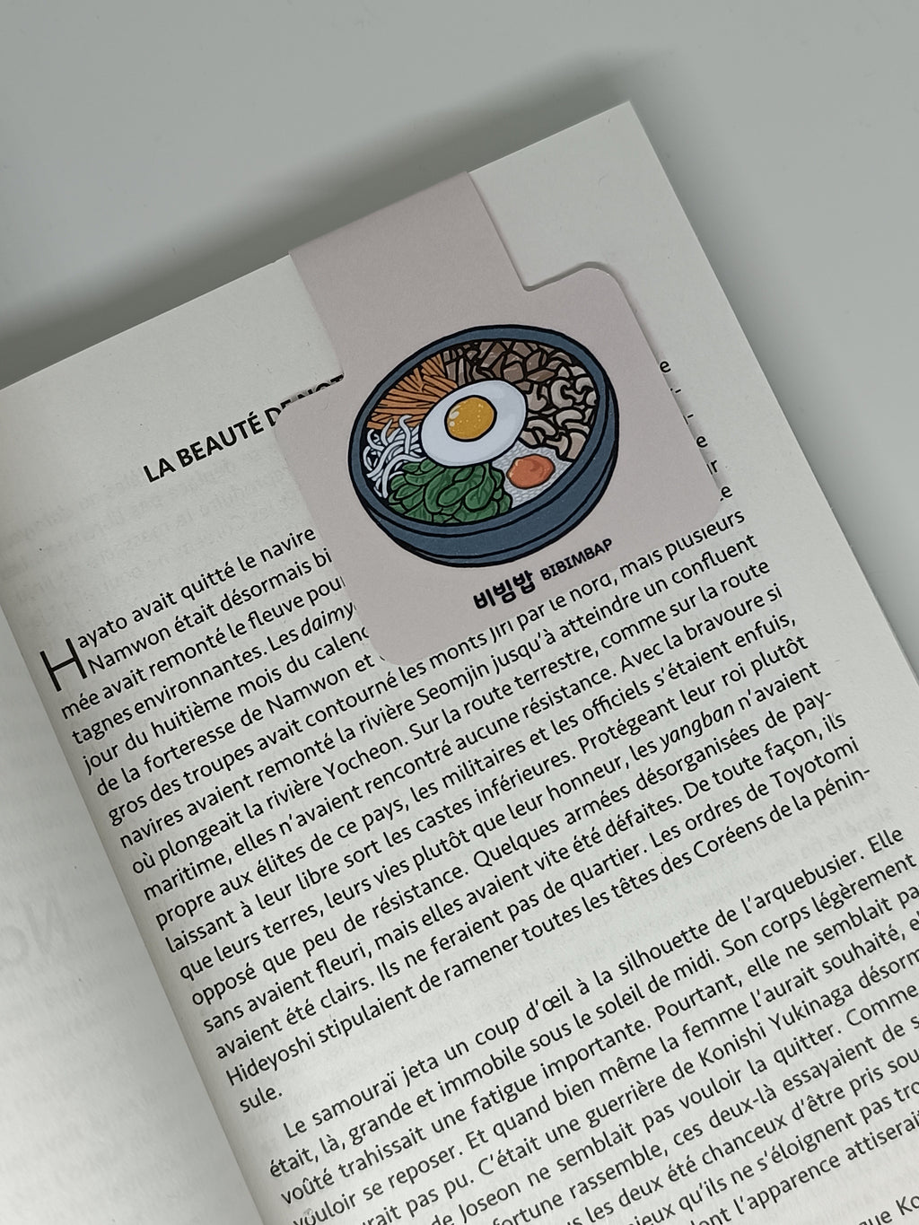 Marque-page magnétique Bibimbap