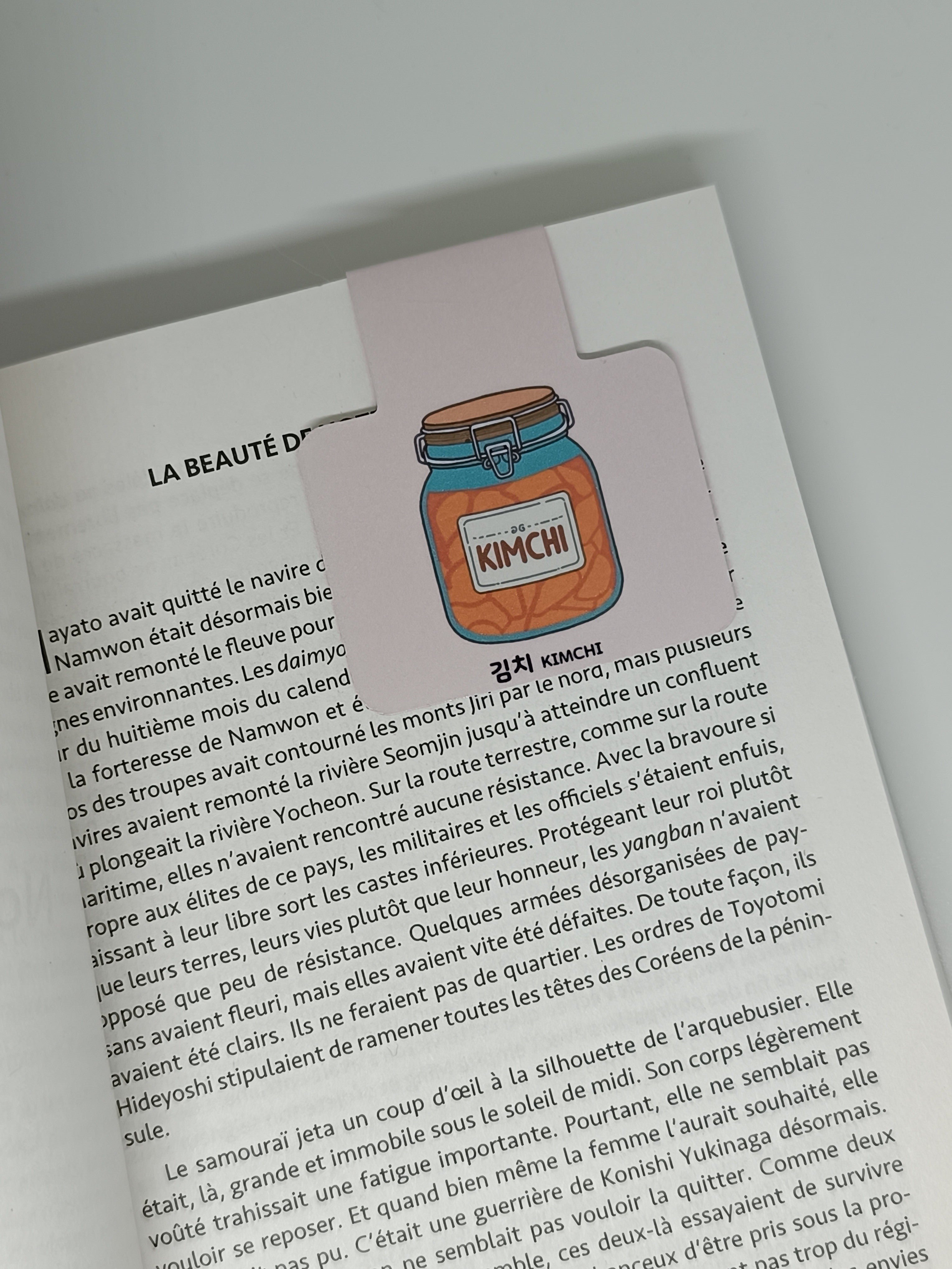 Marque-page magnétique Kimchi