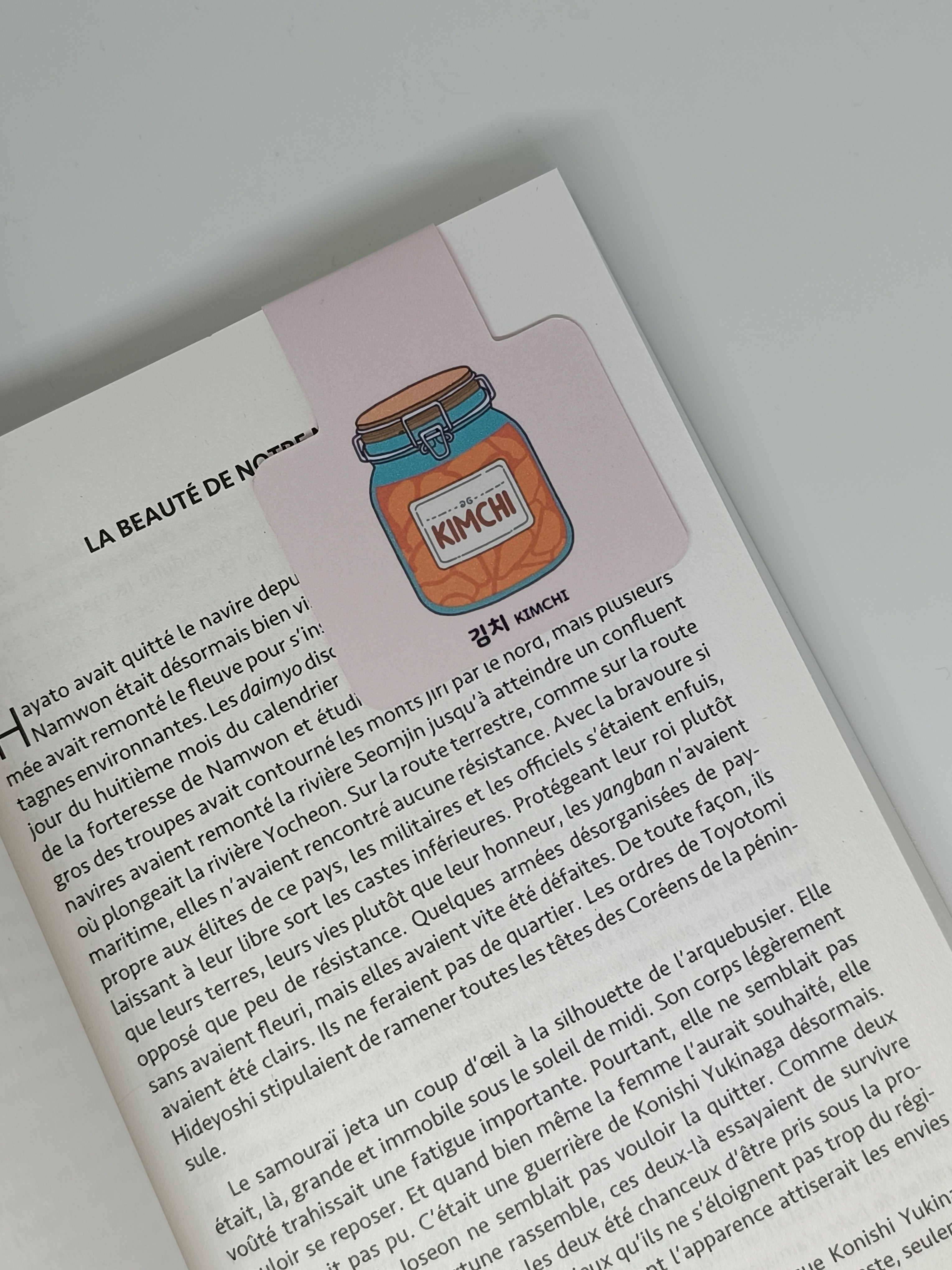 Marque-page magnétique Kimchi